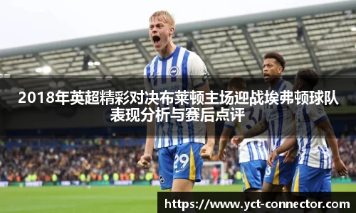 2018年英超精彩对决布莱顿主场迎战埃弗顿球队表现分析与赛后点评