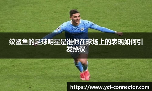 纹鲨鱼的足球明星是谁他在球场上的表现如何引发热议